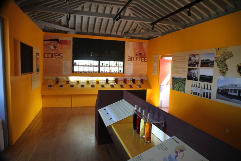 muzeum vinařství ostrov Pico