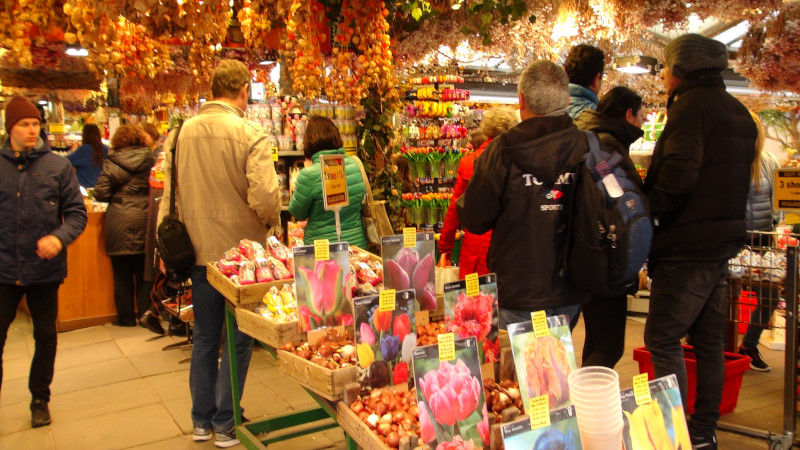 tulipanovy trh amsterdam